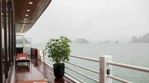 La Regina Royal Cruise in Halong and Lan Ha Bay Vietnam